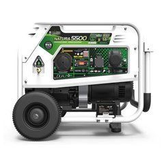 Газобензиновый генератор GENERGY NATURA 5000