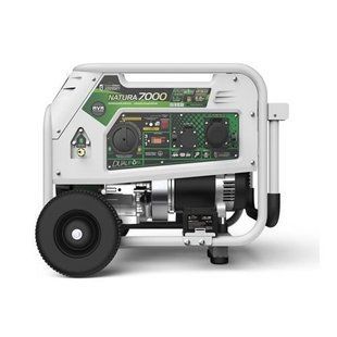 Газобензиновый генератор GENERGY NATURA 7000